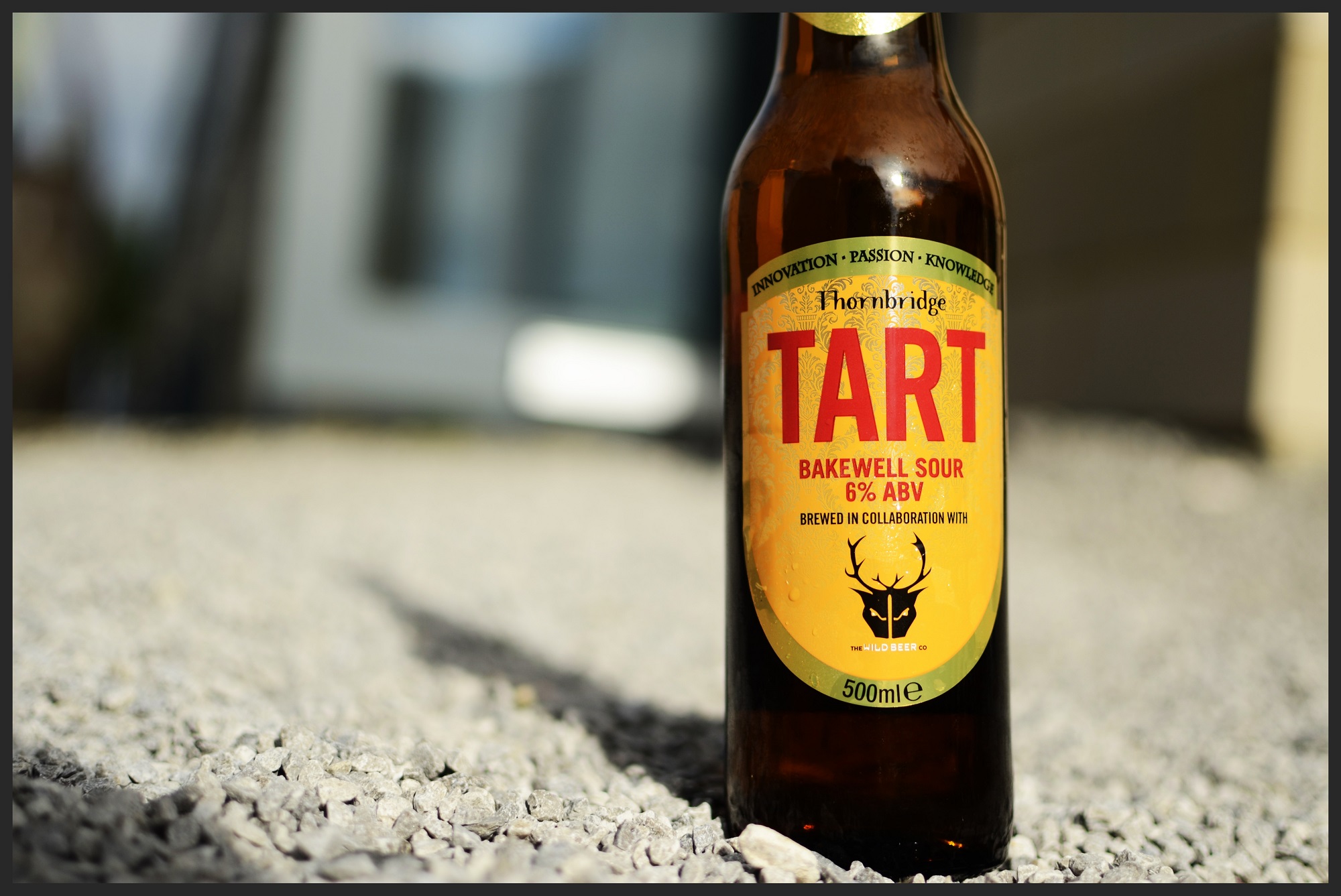 Tart News Tart News